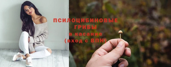 стафф Баксан